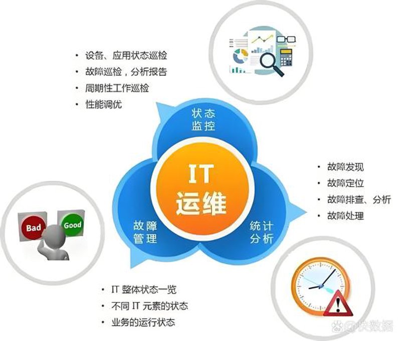 重庆网络科技公司：技术与创意交织的城市脉搏